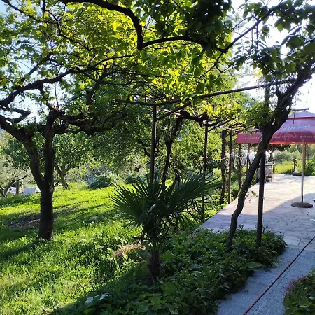 Mohorcic * Portorož